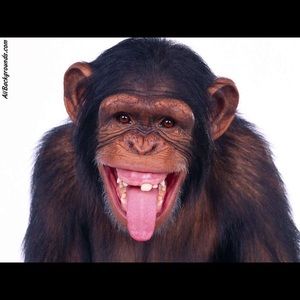 Meet your Posher, Ethan